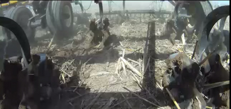 vertical Till Vertical Till with discs to cultivate the ground