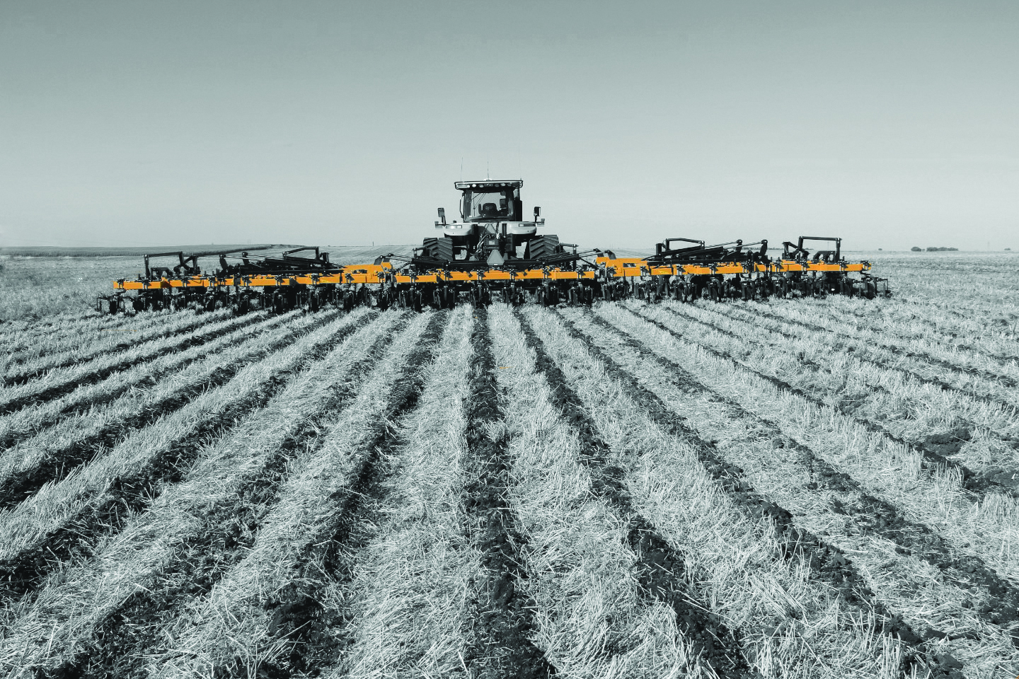 BCW Strip-Till RZM in the field